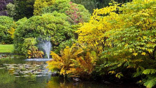 The Lake in autumn at Biddulph Grange Garden, Staffordshire, with a fountain and autumn colour